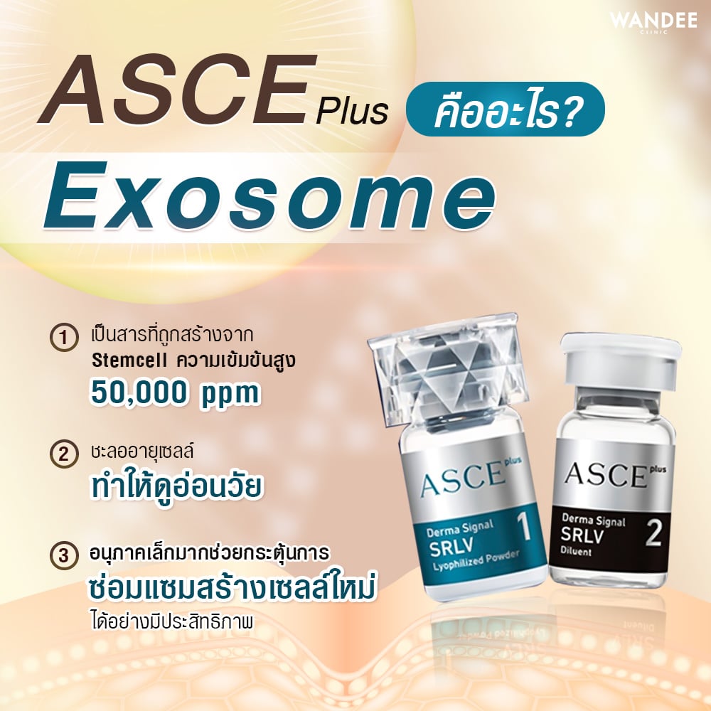 ฉีด Exosome